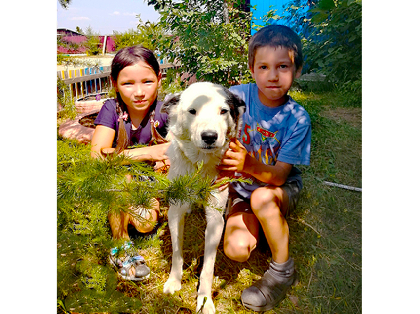 Дети  из Чернышевского центра  «Дружба» с собакой Бим заняли призовое место в районном конкурсе 